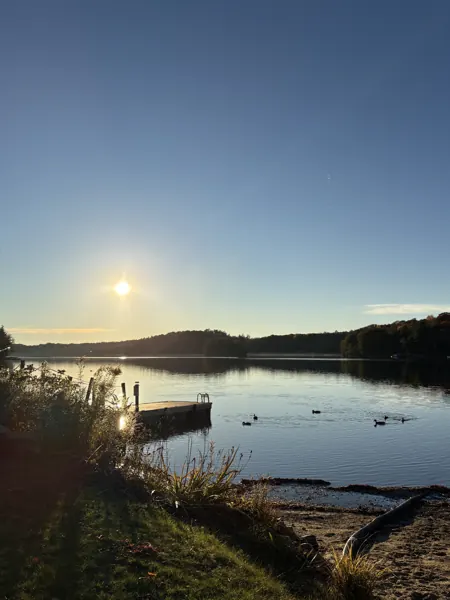 Morning sun over the dock