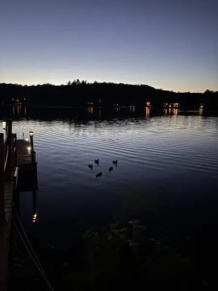 Evening on the lake