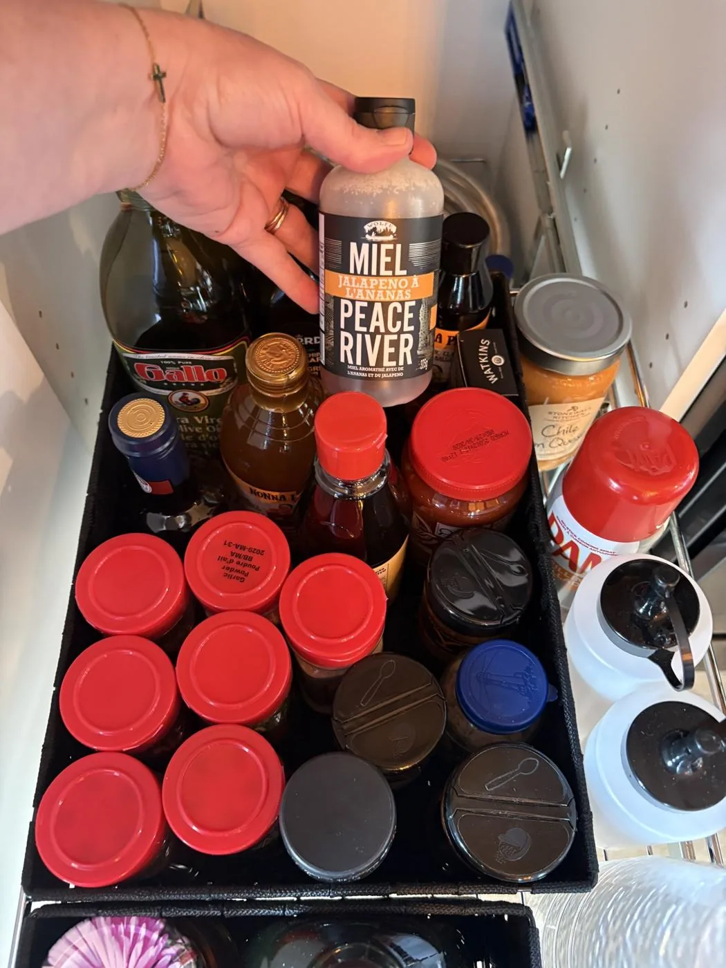 Kitchen communal cupboard with seasonings and spices