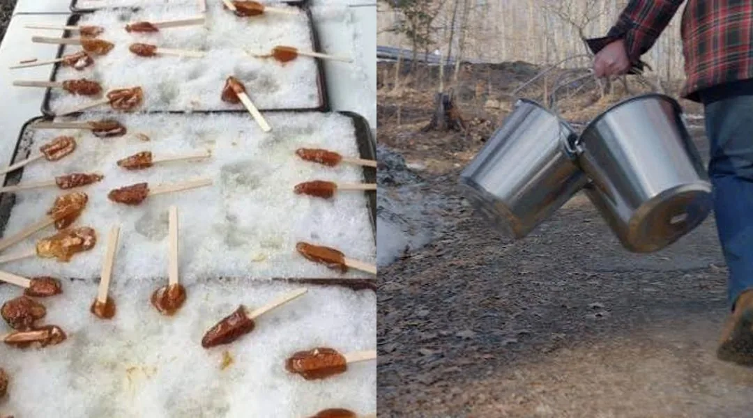Maple Weekend