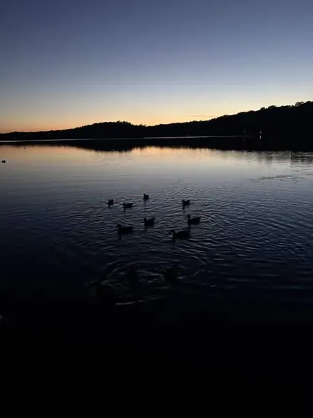 A quiet lakeside evening